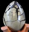 Septarian Dragon Egg Geode - Black Calcite Crystals #33987-3